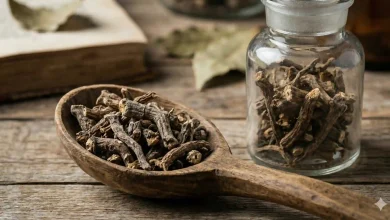 ریشه خشک سنبل الطیب برای تهیه دمنوش آرام‌بخش و درمان گیاهی پانیک.