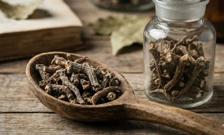 ریشه خشک سنبل الطیب برای تهیه دمنوش آرام‌بخش و درمان گیاهی پانیک.